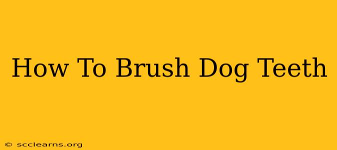 How To Brush Dog Teeth