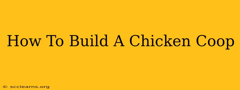 How To Build A Chicken Coop