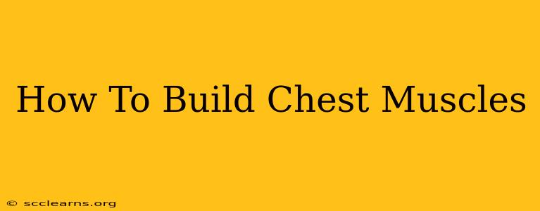 How To Build Chest Muscles