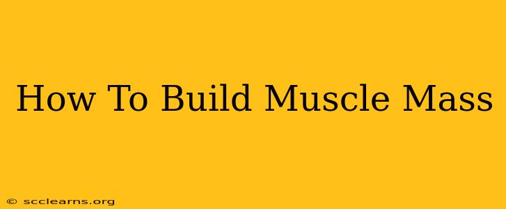 How To Build Muscle Mass