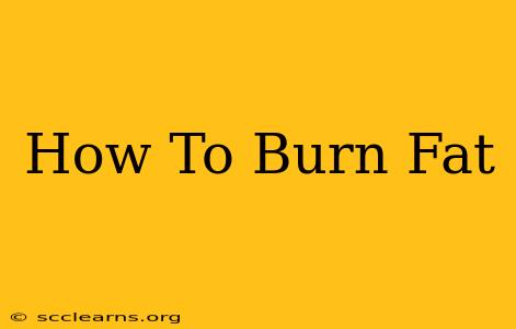 How To Burn Fat