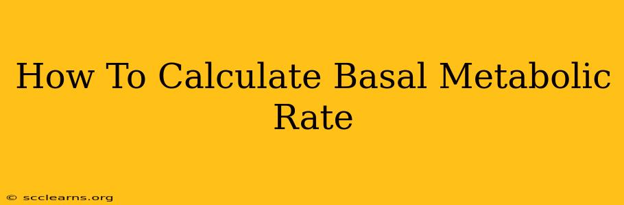 How To Calculate Basal Metabolic Rate