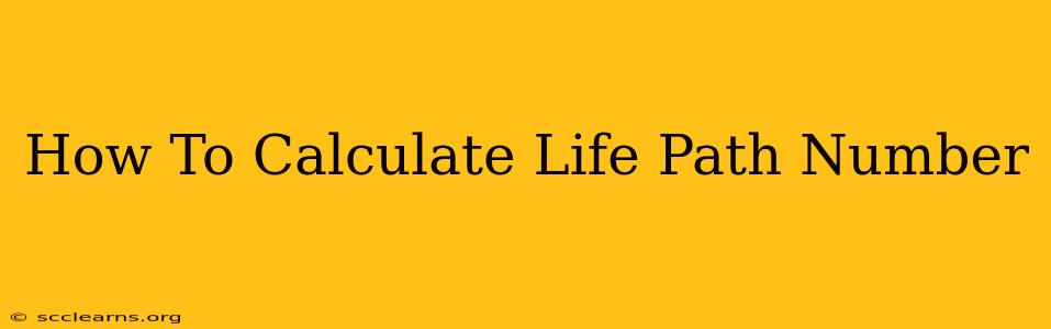 How To Calculate Life Path Number