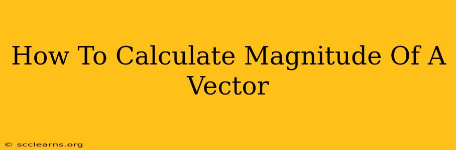 How To Calculate Magnitude Of A Vector