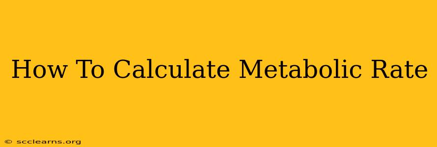 How To Calculate Metabolic Rate