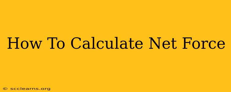 How To Calculate Net Force