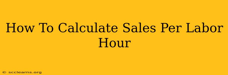 How To Calculate Sales Per Labor Hour