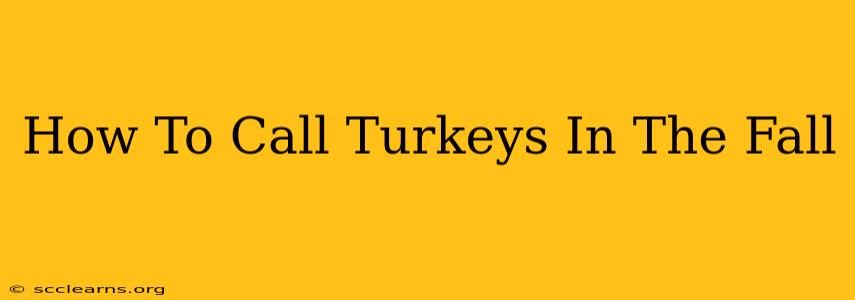 How To Call Turkeys In The Fall