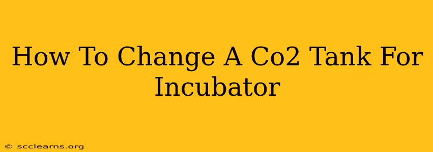 How To Change A Co2 Tank For Incubator