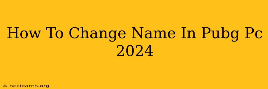 How To Change Name In Pubg Pc 2024