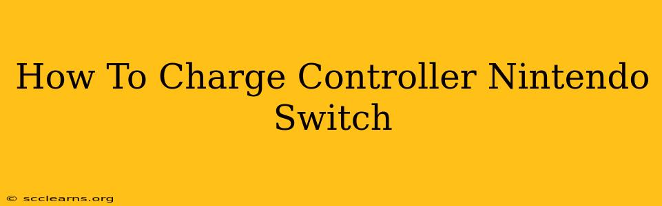 How To Charge Controller Nintendo Switch