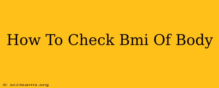 How To Check Bmi Of Body