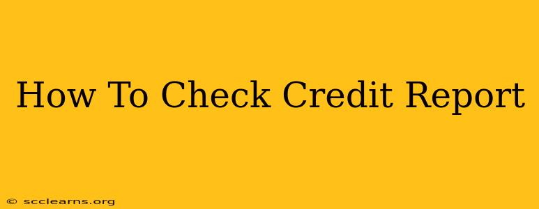 How To Check Credit Report