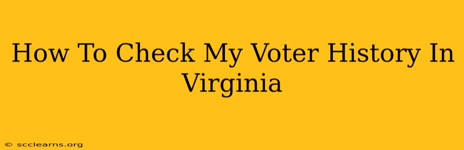 How To Check My Voter History In Virginia