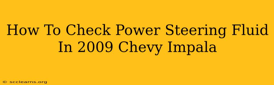 How To Check Power Steering Fluid In 2009 Chevy Impala