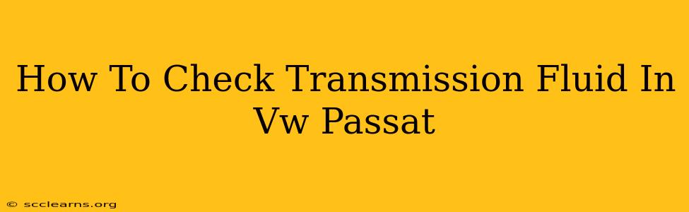 How To Check Transmission Fluid In Vw Passat