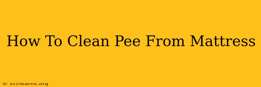 How To Clean Pee From Mattress