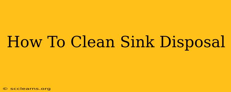 How To Clean Sink Disposal