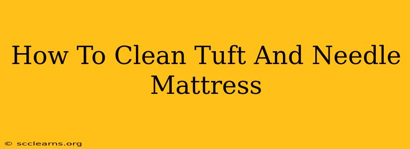 How To Clean Tuft And Needle Mattress