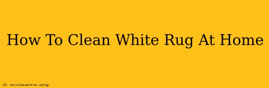 How To Clean White Rug At Home