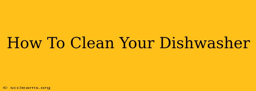 How To Clean Your Dishwasher