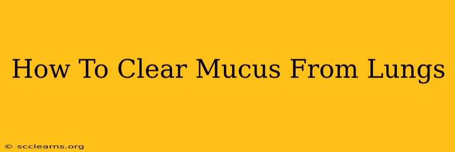 How To Clear Mucus From Lungs