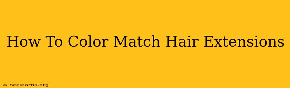 How To Color Match Hair Extensions