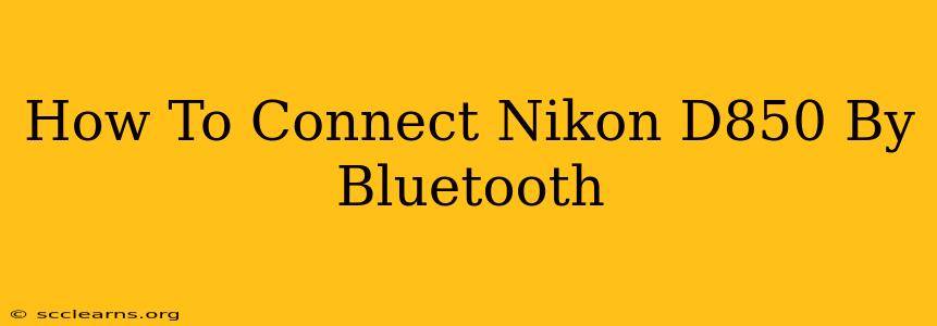 How To Connect Nikon D850 By Bluetooth