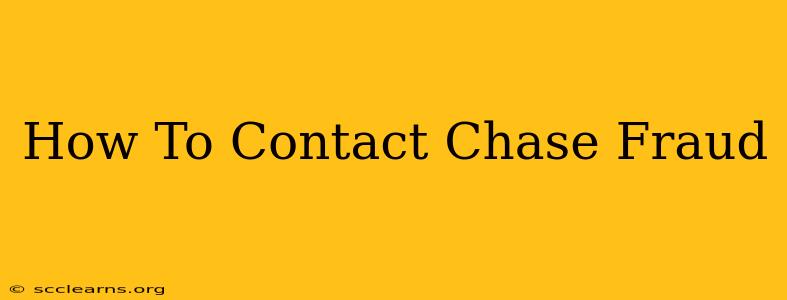 How To Contact Chase Fraud