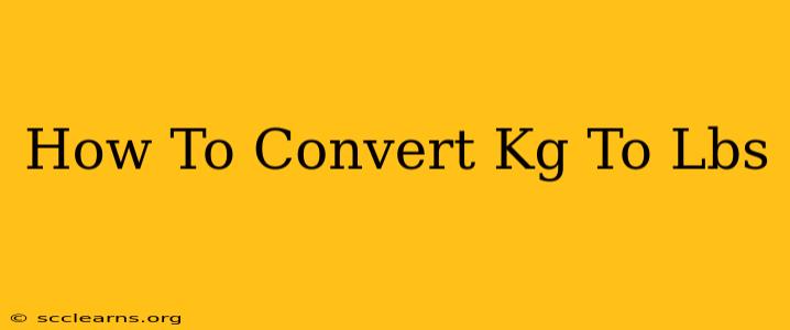 How To Convert Kg To Lbs