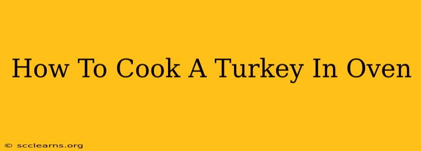 How To Cook A Turkey In Oven