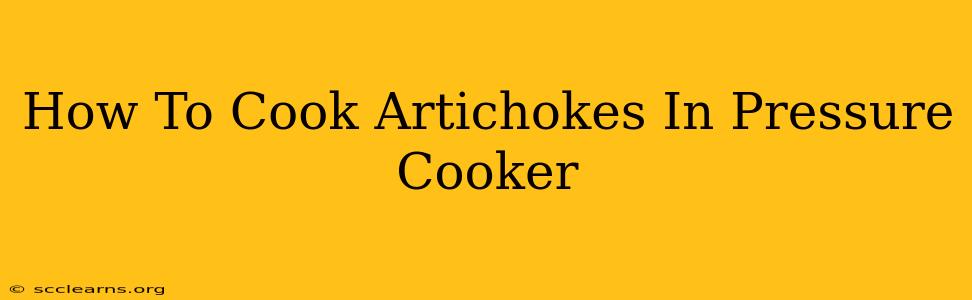 How To Cook Artichokes In Pressure Cooker