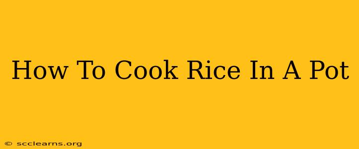 How To Cook Rice In A Pot