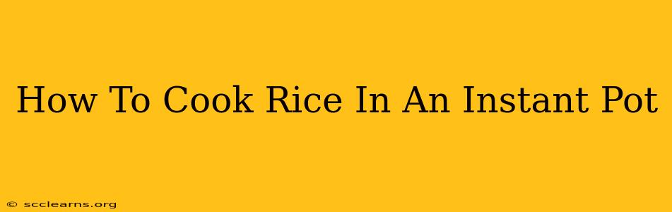 How To Cook Rice In An Instant Pot