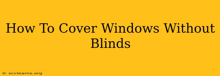 How To Cover Windows Without Blinds