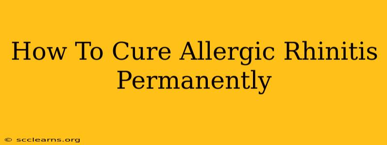 How To Cure Allergic Rhinitis Permanently