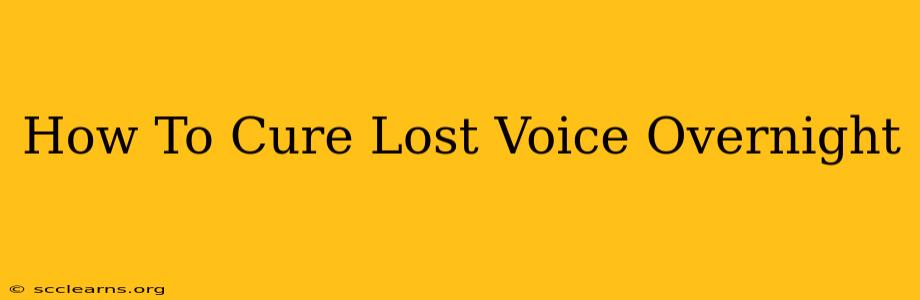 How To Cure Lost Voice Overnight