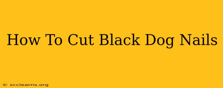 How To Cut Black Dog Nails