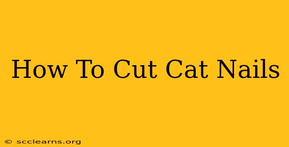 How To Cut Cat Nails