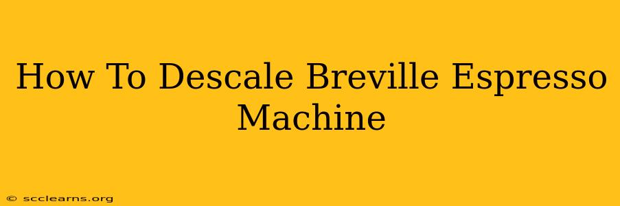 How To Descale Breville Espresso Machine