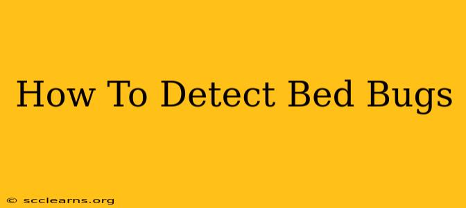 How To Detect Bed Bugs