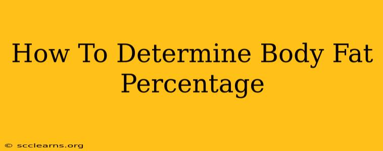 How To Determine Body Fat Percentage