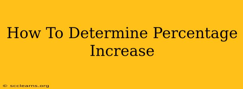 How To Determine Percentage Increase