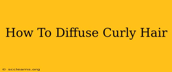 How To Diffuse Curly Hair