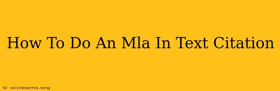 How To Do An Mla In Text Citation