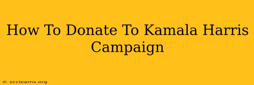 How To Donate To Kamala Harris Campaign