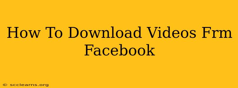 How To Download Videos Frm Facebook