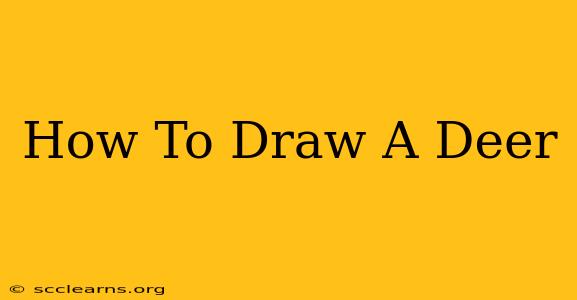 How To Draw A Deer