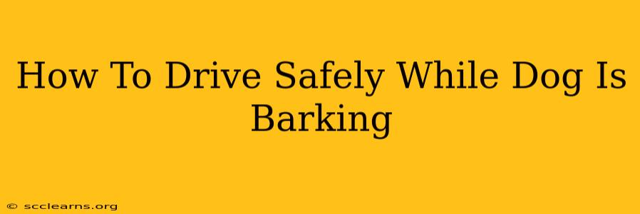 How To Drive Safely While Dog Is Barking