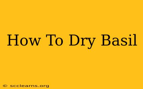 How To Dry Basil